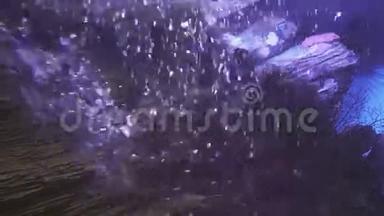 海洋水族馆鱼群水下气泡背景视频